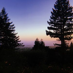 Meet your Posher, Ava